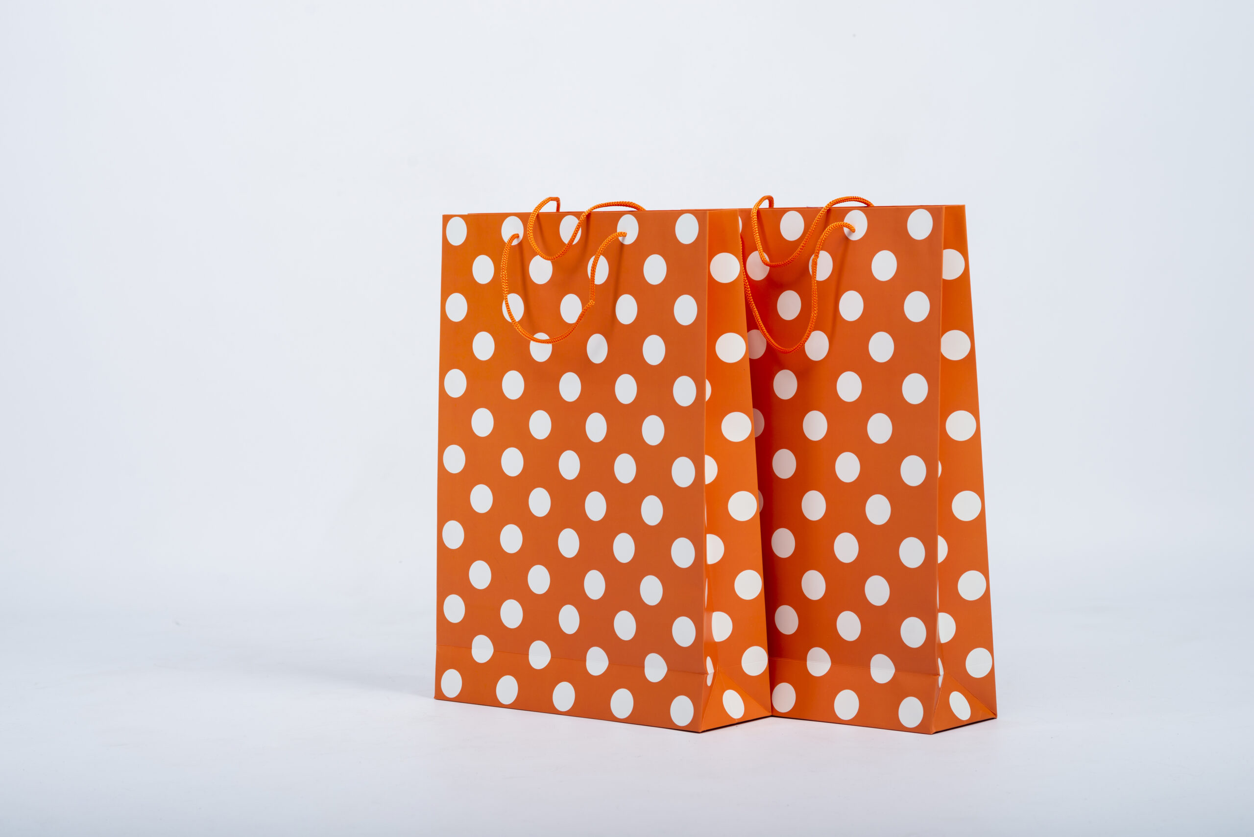 Paper Bag Packaging