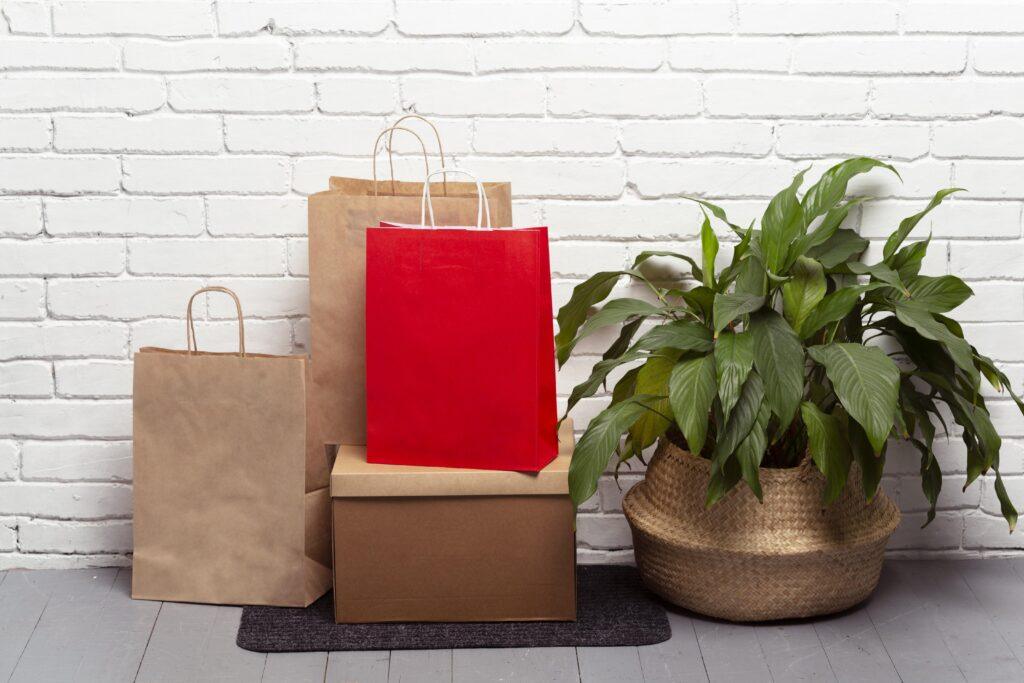 Kraft Paper Bags